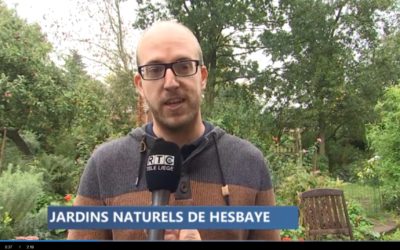 Reportage sur les jardins naturels