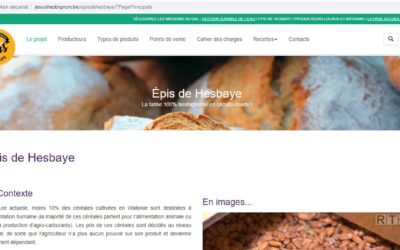 Le nouveau site « Épis de Hesbaye » est en ligne!