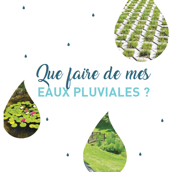 Que faire de mes eaux pluviales ?