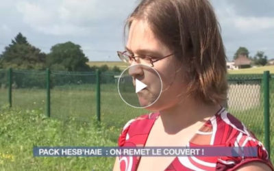 Reportage sur le Pack Hesb’haie de RTC télé Liège