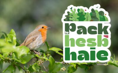 Comment bien utiliser mon Pack Hesb&rsquo;haie ?