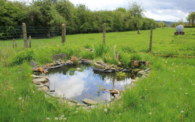 Appel à projets – Aménagements en faveur de la faune en milieu agricole